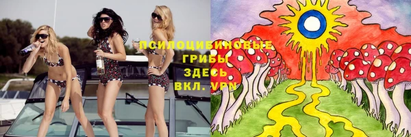 молекула духа Струнино