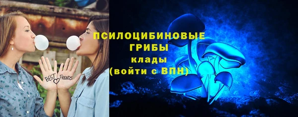 дурь Строитель
